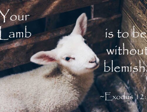 Yeshua, Our Passover Lamb